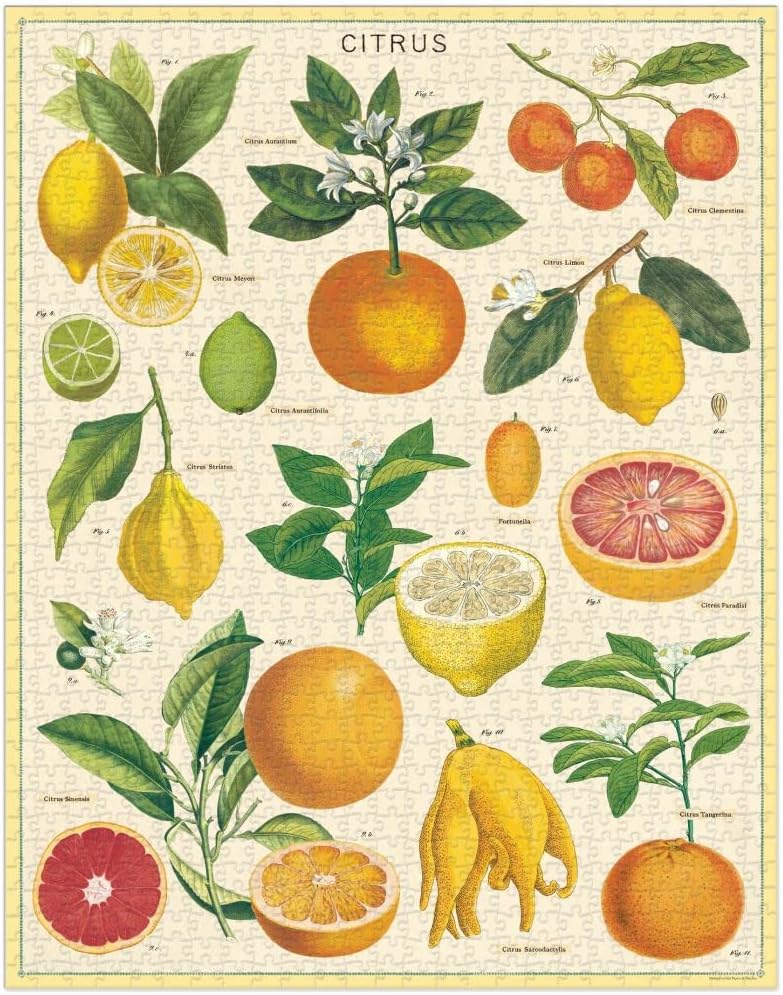 Cavallini Vintage Puzzle "Citrus"