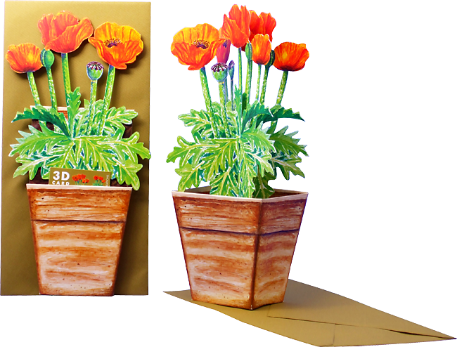  3D Blumentopfkarte "Mohnblume"