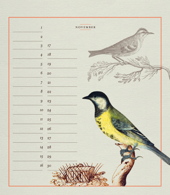 Geburtstagskalender "Nachtigallen"